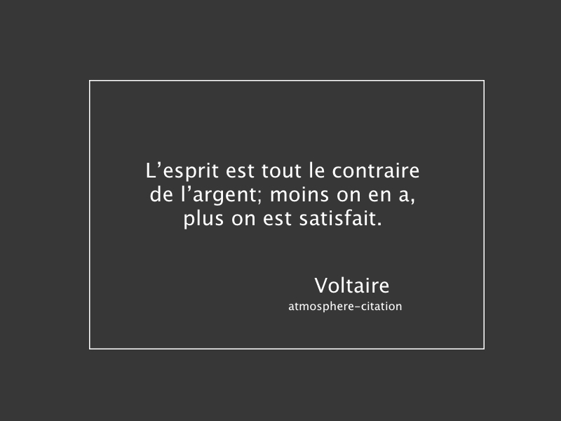citation Voltaire argent