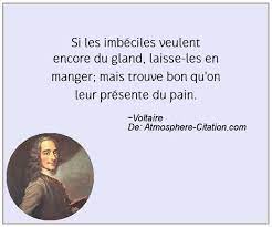citation Voltaire