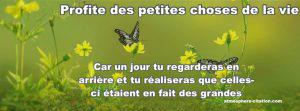 1390 couverture facebook citation courte 300x111