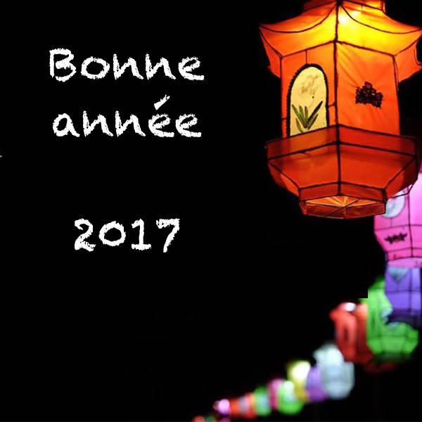 2048 bonne annee 2017 nouvel an chinois