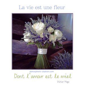 333 fleur lavande amour miel 300x300