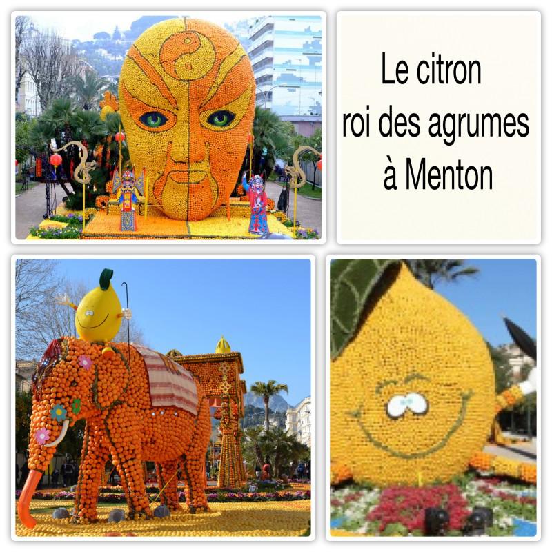 3929 fte du citron 2015 e1424201037196