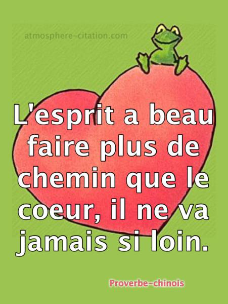 4614 proverbe chinois