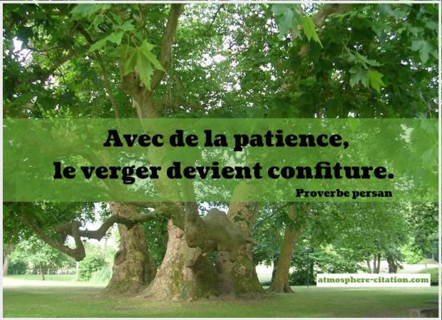 4906 proverbe persan