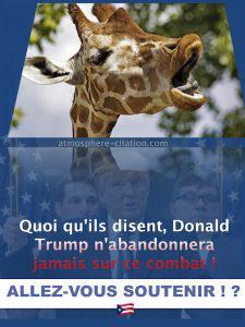 5115 donald trump soutenir 8 novembre 2016 225x300