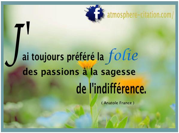 La Folie Ou L Indifference