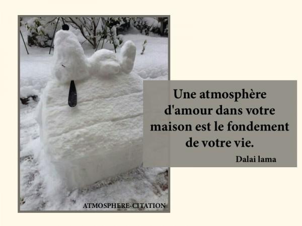 5447 amour