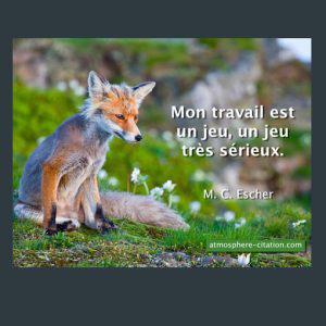 5620 renard jeu travail 300x300