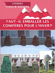 5680 protection hivernale des arbres 225x300