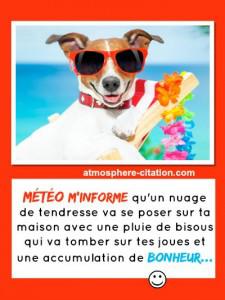 5887 chien