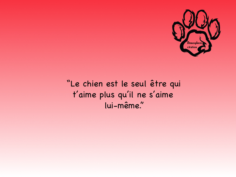 amour des chiens