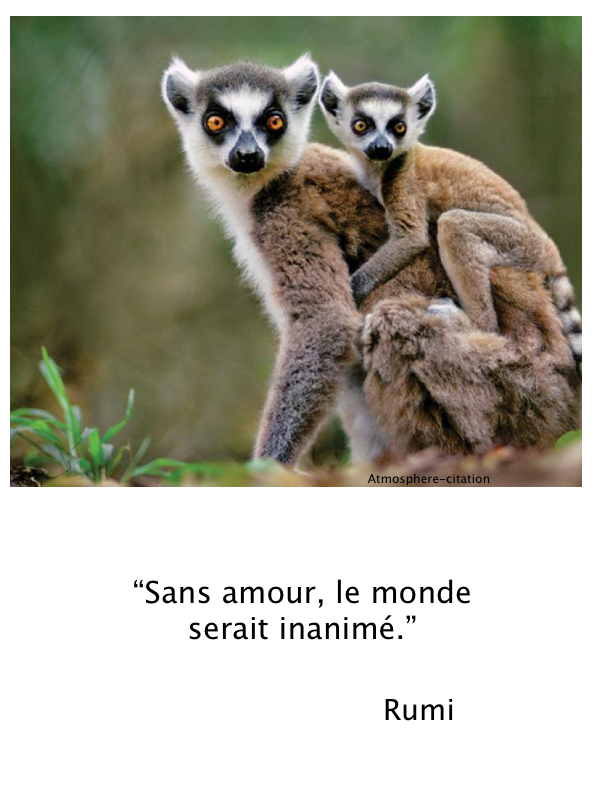 Sans amour, le monde serait inanimé.