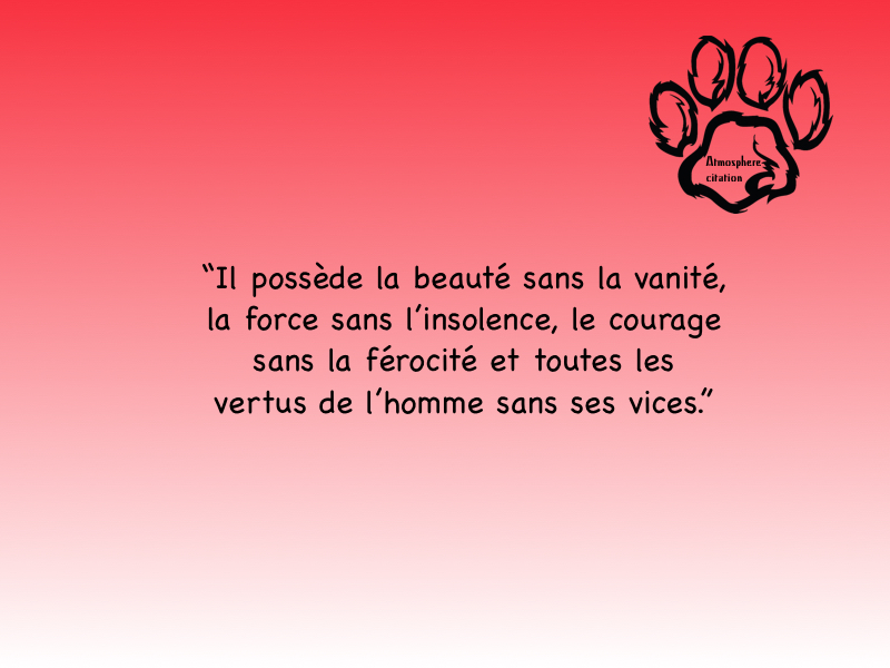 le chien il possède toutes les vertus de l’homme sans ses vices