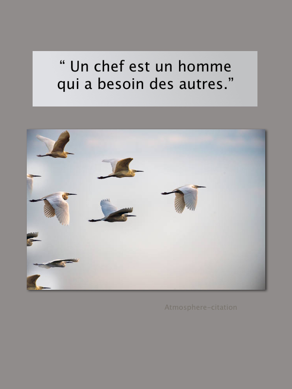 Un chef est un homme qui a besoin des autres.