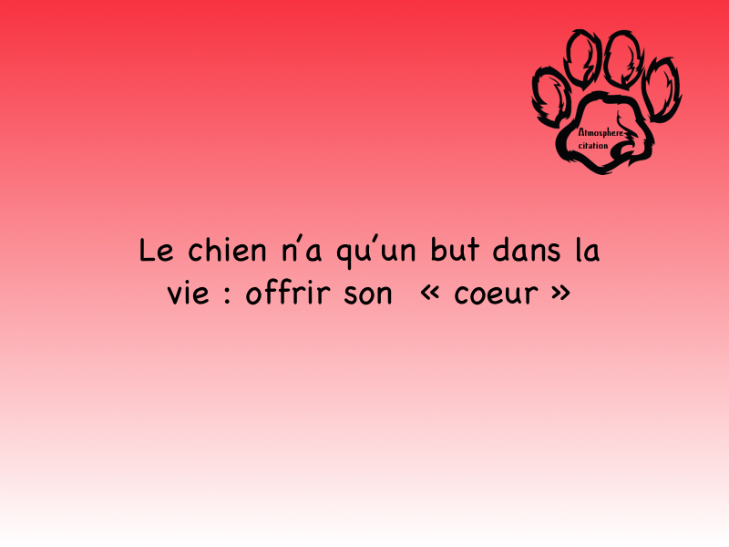 chien coeur