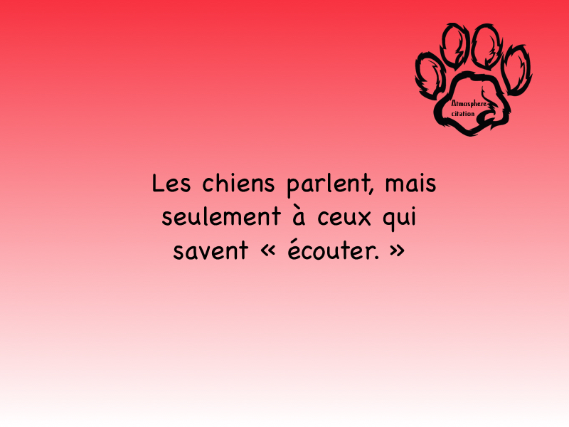 Les chiens parlent, mais seulement à ceux qui savent écouter