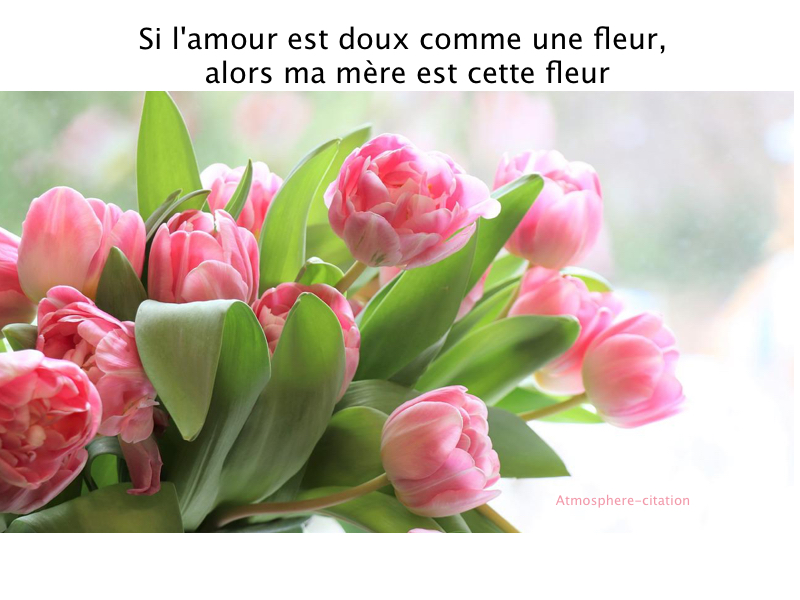 Si l'amour est doux comme une fleur, alors ma mère est cette fleur