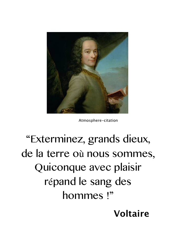 voltaire-homme-terre