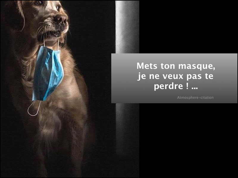 Mets ton masque, je ne veux pas te perdre