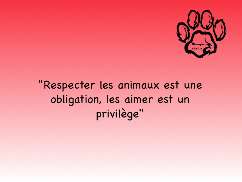 respecter