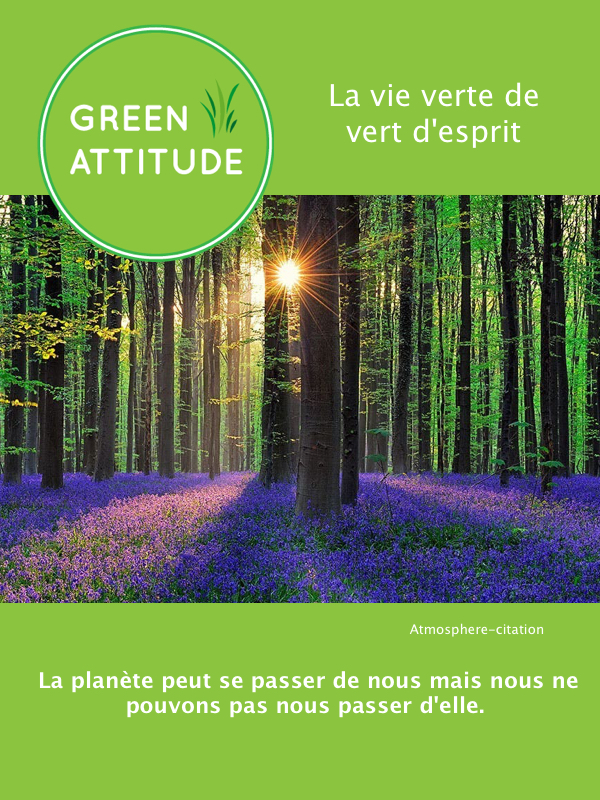 la vie verte de vert d'esprit