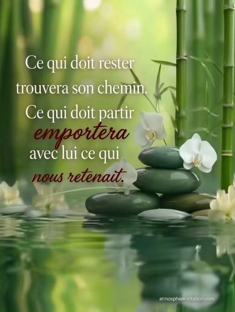 Citation sur le lâcher-prise et la paix intérieure : Ce qui doit rester trouvera son chemin.⁠